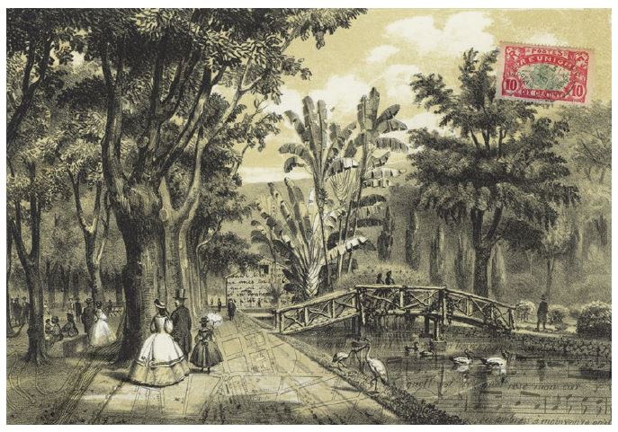 decor mural Jardin -La Réunion